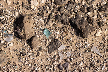 Soil with pieces of broken glass