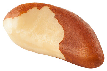 Obraz premium Brazil Nut isolated on white background, full depth of field, clipping path