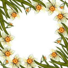 Obraz premium Watercolor frame easter with daffodil. Spring floral illustration isolated on white background.