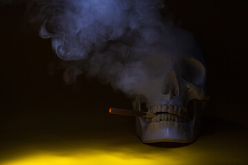 skull of a man with a cigarette bone skeleton,one object,sinister terrible horror, spot light,with...
