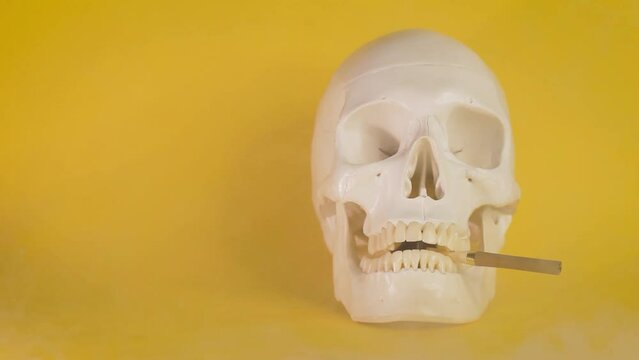 skull of a man with a cigarette bone skeleton,one object,sinister terrible horror,with a cigarette . concept death from nicotine smoking