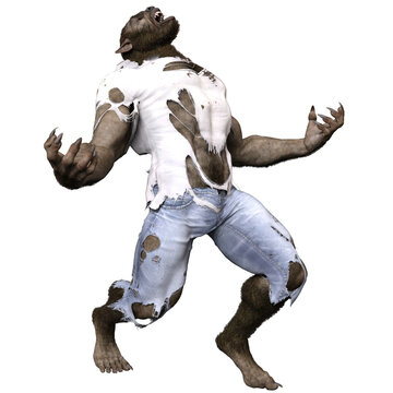 A 3d rendered illustration of a werewolf with torn clothes 