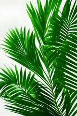 Green palm leafs isolated on white background - generative ai