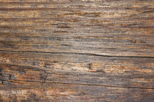 Close up photo texture of old worn wood surface.