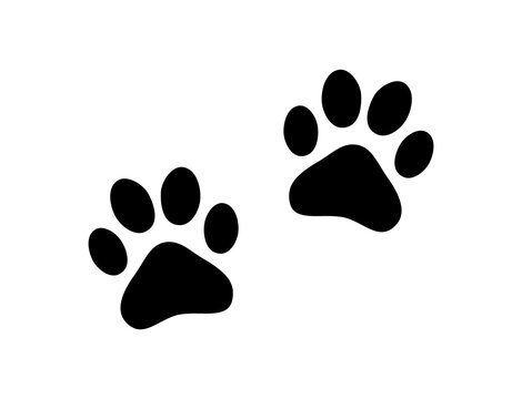 Dog Paw Png Images – Browse 37,009 Stock Photos, Vectors, and
