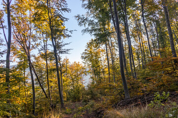 Autumn Landscape of Erul mountain, Bulgaria