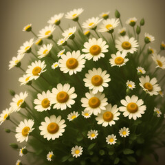 A bouquet of white chamomile with a yellow center on green stems. Nature illustration. Generative AI
