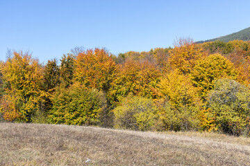 Autumn Landscape of Erul mountain, Bulgaria
