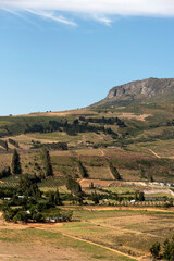 Naklejka premium Paarl, Western cape, South Africa. 2023. Farmin on the lower slopes of the Paarl mountains in the Western Cape.