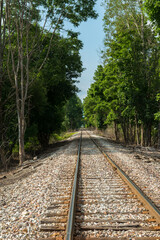 railroad tracks in the forest