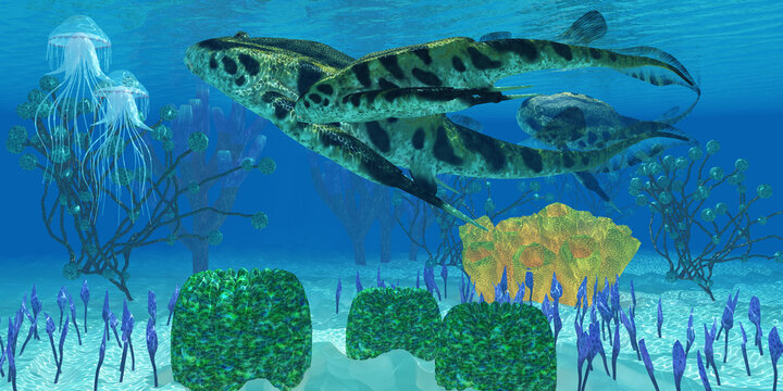 Bothriolepis in Devonian Seas - Bothriolepis was a carnivorous marine fish that lived in the waters of the Devonian Seas.