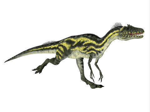 Deltadromeus Dinosaur Running - Deltadromeus was a small carnivorous theropod dinosaur that lived in Africa during the Cretaceous Period.