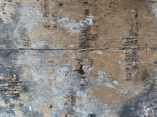 Old wooden wall texture background