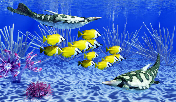Pteraspis hunt Foxface Rabbitfish - Pteraspis was a primitive jawless fish that lived in the oceans of the Devonian Period.