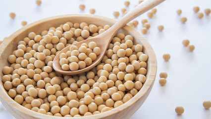 大豆　白背景