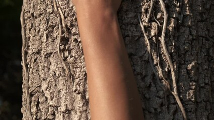 Female giving love by tree bark. A lovely woman hands touch the tree bark in the sunny wood. A concept of enjoy to relax among trees in the day light.