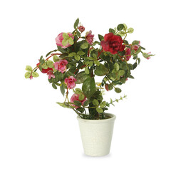Variedad de flores y plantas artificiales. Margaritas, rosas, cactus, mastuerzo en macetas blancas estilo vintage .decoración, interiores, png, transparente.