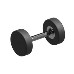 Fitness equipment object dumbbell, 3d rendering