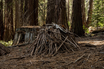 Small Burn Pile Along Trail In Sequoia