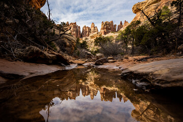 Still Puddle Reflects Hoodoos In The Needles