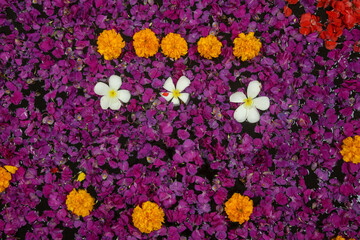 Frangipani petals and flowers in the bathtub, spa weekend, wellbeing, body care and beauty concept	