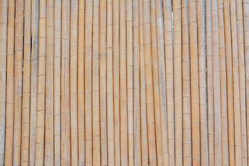 Fence made with dry bamboo sticks as background, closeup