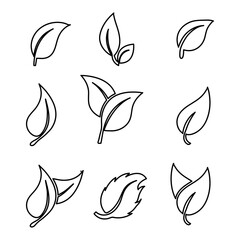 Fototapeta premium Set of isolated icons on a theme leaves illustration on white background 