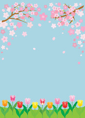 桜とチューリップと青空の背景イラスト