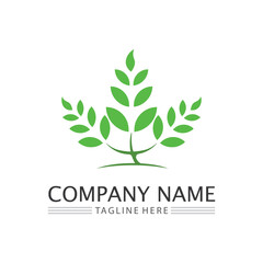 leaf logo design vector for nature symbol template editable,Green leaf logo ecology nature element vector icon.