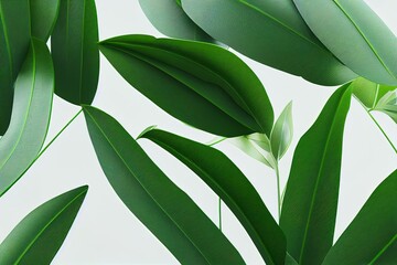 Fototapeta na wymiar Cut out Palm leaves foliage transparent backgrounds 3d rendering. Generative AI