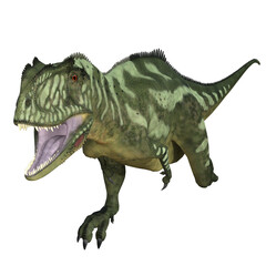 Yangchuanosaurus dinosaur isolated 