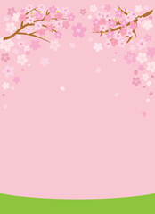 Obraz na płótnie Canvas ピンクの桜の背景イラスト