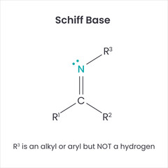 Schiff Base Biochemistry Functional Group science vector infographic