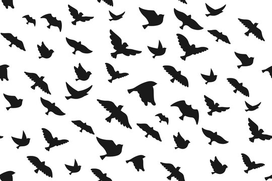Bird dove silhouette seamless pattern. Modern trendy shape fowl sparrow, dove pigeon figure boundless wallpaper in ink style texture paper. Print birds songbird repeat scrapbook decoration ornament