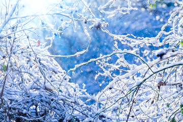 雪景色