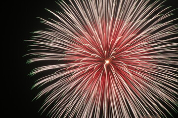 野村花火による芸術花火ショー