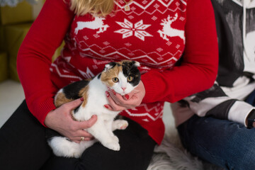 a woman holds a three-fat cat in her arms