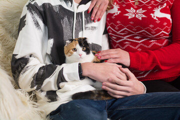 a woman holds a three-fat cat in her arms