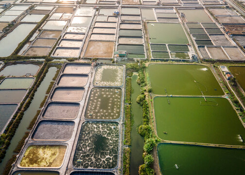 Shrimp farms near the seaside in Vietnam viewed from a drone.
