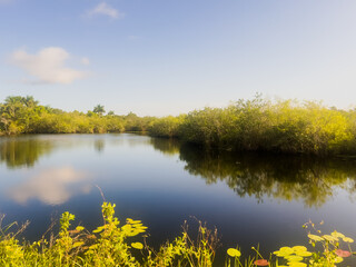 Everglades National Park in Florida