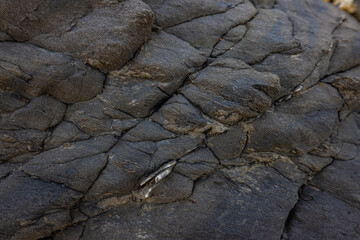 Rocky shapes on the beach. textures and patterns generated on the stones of the Ibiza.