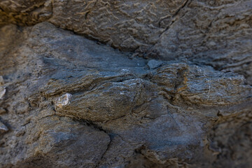 Rocky shapes on the beach. textures and patterns generated on the stones of the Ibiza.