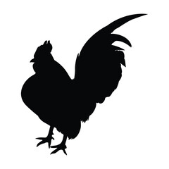 vector illustration of isolated rooster silhouette black color on white background