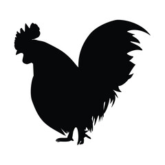 vector illustration of isolated rooster silhouette black color on white background