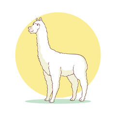 hand drawn llama animal