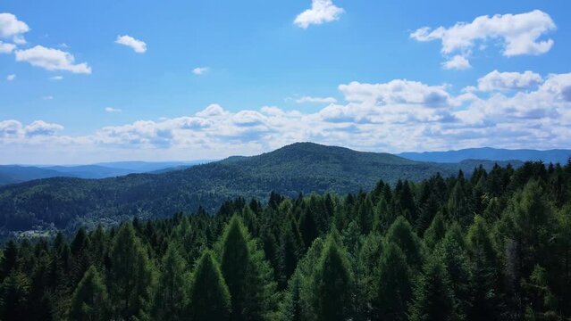 Cinematic aerial shot of an endless mountain and forest landscape in southern Slovenia
