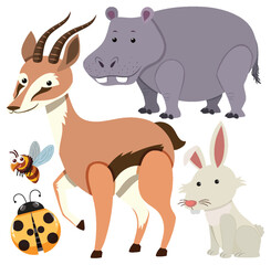 Set of animals cartoon simple style