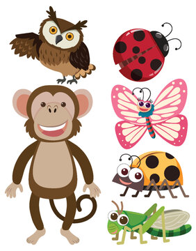 Set of cute animals cartoon simple style