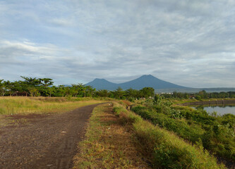 Mountains with blue sky and dramatic clouds, rice field and trees.