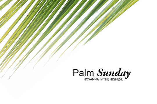 Palm Sunday concept. Hosanna in the highest. With palm leaves isolated on white background. Happy Palm Sunday. Christianity.